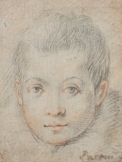 Head of a Boy by Federico Zuccaro