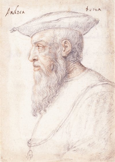 Portrait of Andrea Doria in profile to the left, wearing the order of the Golden Fleece by Federico Zuccaro