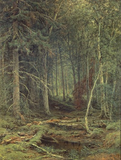Swamp in the Forest, Autumn, 1872 by Fedor Aleksandrovich Vasiliev