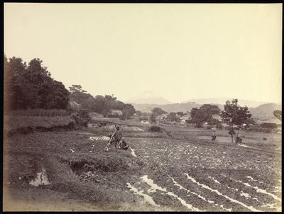 Fujiyama from the New Road by Felice Beato