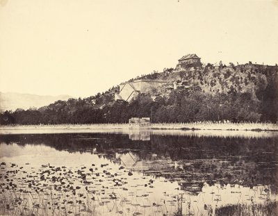 View of the Imperial Summer Palace, Yuen-Ming-Yuen, after the Burning, Taken from the Lake, Peking, 18th October, 1860 by Felice Beato
