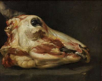 Skinned Head of a Young Bull, c.1690 by Felice Boselli