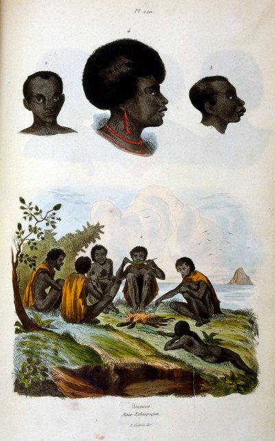 Anthropological Illustration Depicting the Ethiopian Race by Felix-Edouard Guerin