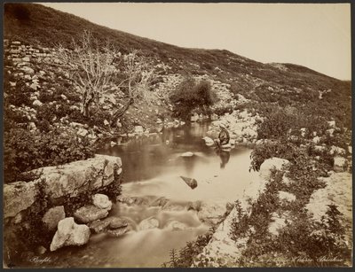 The Fountain of Elisha, Palestine by Félix Bonfils