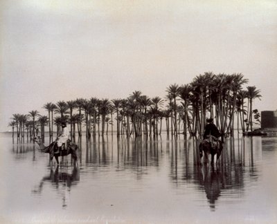 Men on camels while crossing an Egyptian desert area flooded by the Nile, Egypt by Félix Bonfils