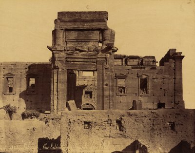 Remains of Temple of the Sun in Palmyra, Syria by Félix Bonfils