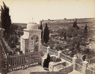 View of the garden of Gethsemane or the Olive Orchard, where Christ passed the last days of his life by Félix Bonfils