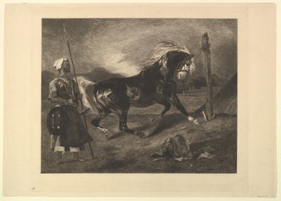 Arabian Horse at the Stake, after Delacroix by Felix Bracquemond
