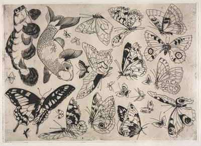 Dinner Service (Rousseau service): Butterflies and Fish (no. 16) by Felix Bracquemond