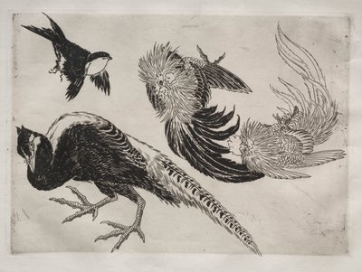 Dinner Service (Rousseau service): Pheasants and Bird (no. 18) by Felix Bracquemond