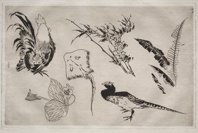 Dinner Service (Rousseau service): Roosters, Skate, Plants, etc. (no. 9) by Felix Bracquemond