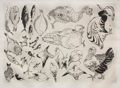Dinner Service Rousseau Service: Ducks, Fish, etc. No. 12, 1866 by Felix Bracquemond