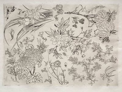 Dinner Service Rousseau: Flowers No. 23 by Felix Bracquemond