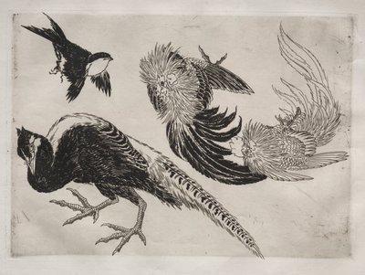 Dinner Service Rousseau Service: Pheasants and Bird No. 18 by Felix Bracquemond