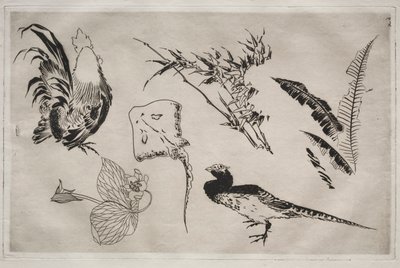 Dinner Service Rousseau service: Roosters, skate, plants, etc. no. 9, 1866 by Felix Bracquemond