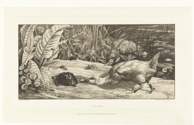 Duck and Turtle on the Bank of a Ditch by Felix Bracquemond