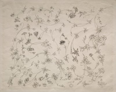 Flower designs for plates and borders (no. 14) by Felix Bracquemond