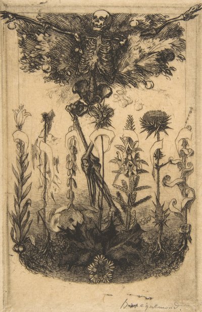 Frontispiece for Les Fleurs du Mal, 1857 by Felix Bracquemond