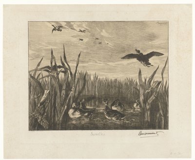 Landscape with Teals in the Water Among Reeds by Felix Bracquemond