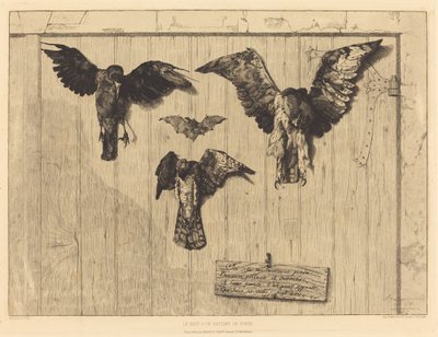 The Top of a Door Leaf (Birds Nailed to a Barn Door) by Felix Bracquemond