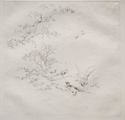 Parisian Service Haviland service: Fog no. 1, 1875 by Felix Bracquemond