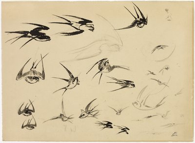The Swallows by Felix Bracquemond