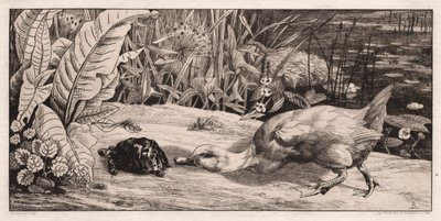 The Unknown by Felix Bracquemond