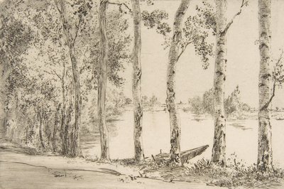 Trembles on the Banks of the Seine, ca. 1884 by Felix Bracquemond