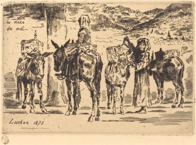 Sheet of Donkeys from the South by Felix Hilaire Buhot