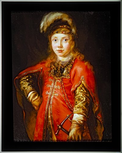 Portrait of a Youth in a Red Tunic by Ferdinand Bol