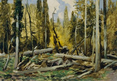 Bohemian Forest (from the Portfolio 