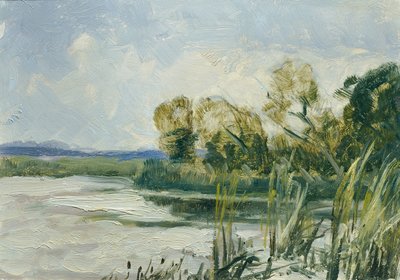Wittingau (from the Portfolio 