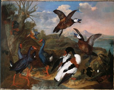 Shell Ducks and other Fowl in a Landscape by Ferdinand Phillip de Hamilton