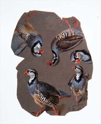 Sketch of Partridges by Ferdinand Phillip de Hamilton