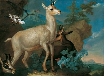 Three Mountain Goats and a Blackbird by Ferdinand Phillip de Hamilton
