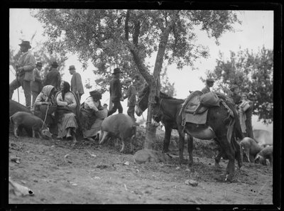 At Beetroot of the Cattle Market in Assisi by Ferdinand Schmutzer