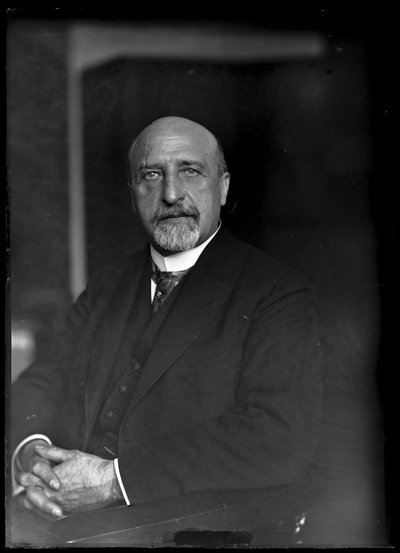 Picture of Karl Seitz (1869-1950) by Ferdinand Schmutzer