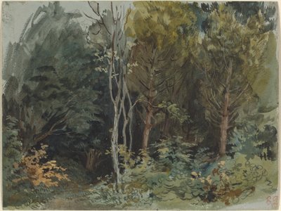 The Edge of a Wood at Nohant by Ferdinand Victor Eugene Delacroix