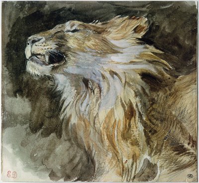 The Head of a Lion by Ferdinand Victor Eugene Delacroix