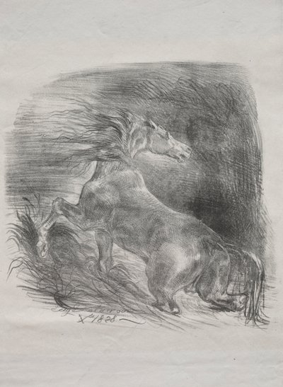 The Wild Horse, or Frightened Horse Leaving the Water, 1828 by Ferdinand Victor Eugene Delacroix