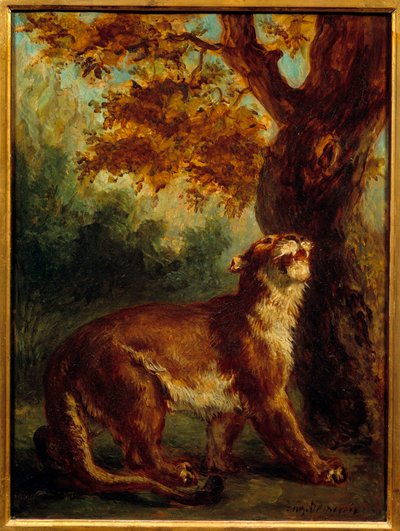 The Cougar Also Says Lioness Lookout for a Prey by Ferdinand Victor Eugene Delacroix