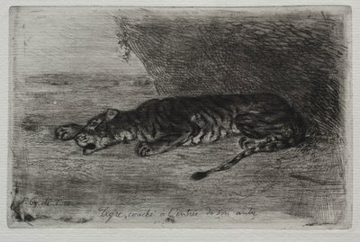 Tiger Lying at the Entrance of its Den by Ferdinand Victor Eugene Delacroix