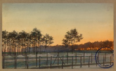 View of the Pine Woods by Fernand Barbier