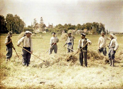Eight Members of the 143rd Infantry Division of the French Army Making Hay, Soissons, Aisne, France, 1917 by Fernand Cuville