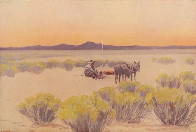 Arizona afterglow by Fernand Lungren