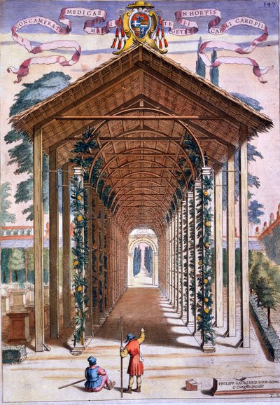 A Trellised Covered Walkway, from 
