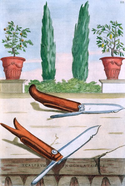 Gardening Knife, from 