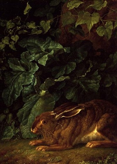 A Hare in Undergrowth by Filippo Hackert