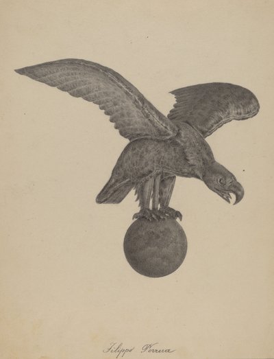 Eagle by Filippo Porreca