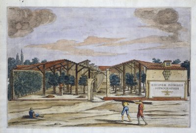 A Covered Orchard, from Hesperides by Giovanni Battista Ferrari, engraved by Camillo Congio by Filippo after Gagliardi